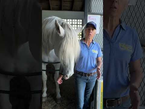 Advice Hemp Bedding Advice Hemp Bedding