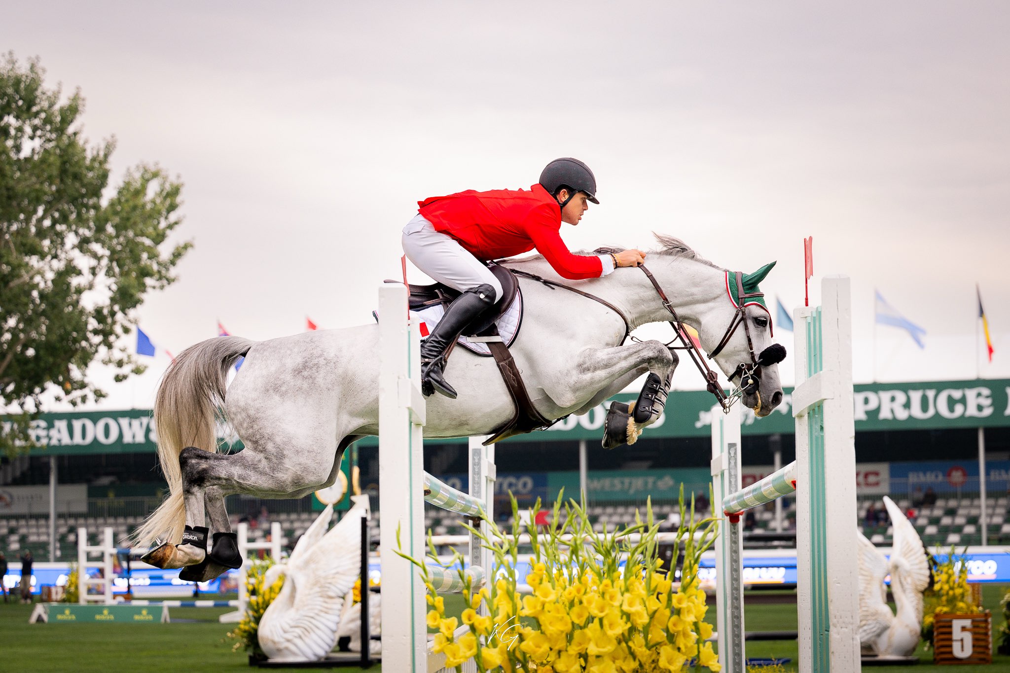 Alejandro Leonardo Winkler Hemp Bedding . Org