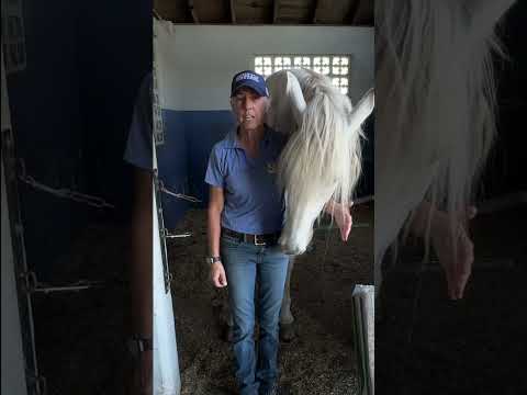 Mette Hemp Bedding CBD Test Negative Hemp Bedding CBD Test Negative