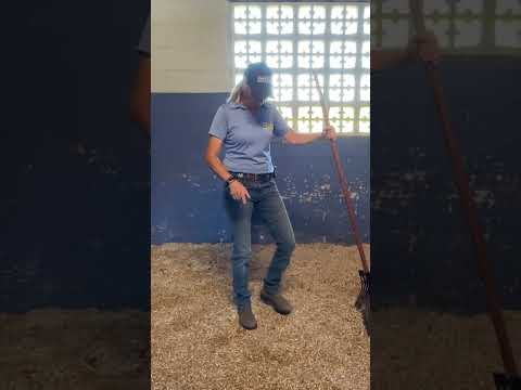 Hemp Bedding Setup Hemp Bedding Set Up