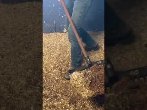 Remove the Red Urine Hemp Bedding Hemp Bedding Remove Urine