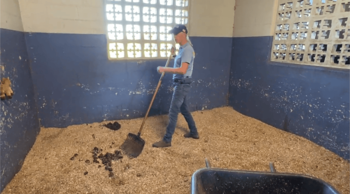 Mette Hemp Bedding Manure Cleaning Hemp Bedding Manure
