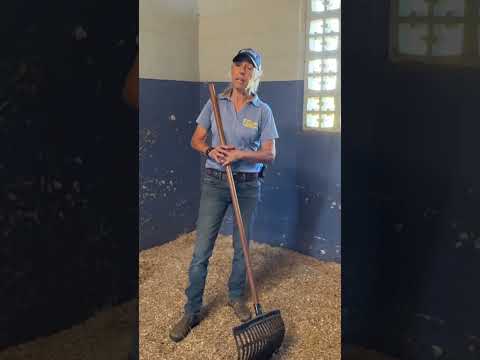 When to Add More Hemp Bedding When to Add Hemp Bedding